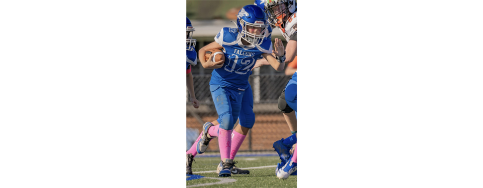 Lower Dauphin