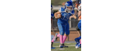 Lower Dauphin